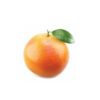 Grapefruit essential oils